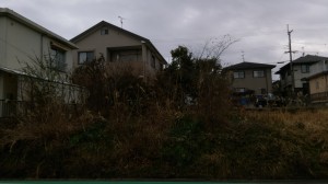 IMAG2868