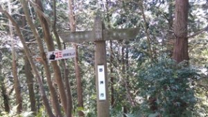 IMAG4116 - コピー (2)