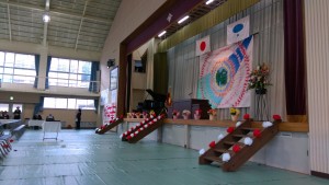 IMAG0113